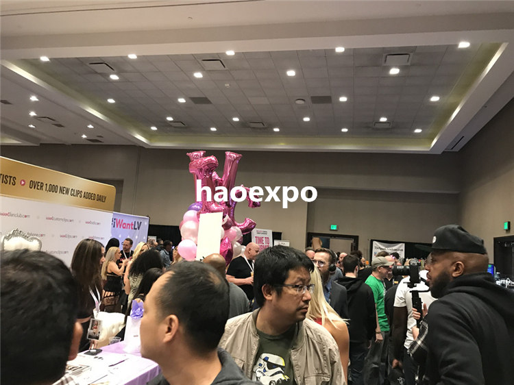 AVN2019现场情况